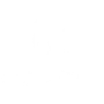 Lincoln Smiles